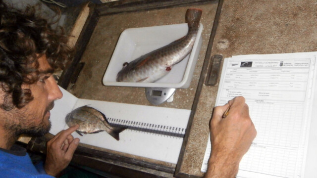 Pesca y agricultura 3