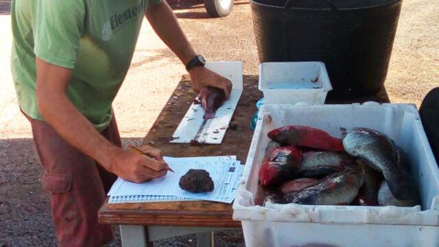 Pesca y agricultura 2