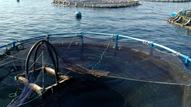 Pesca y agricultura 1